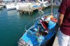 Filename=DSC_4047.JPG
Filesize=496KB
Dimensions=1936x1296
Date added=Sep 23, 2009 DSC_4047.JPG