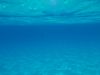 Filename=EGY_UW_20_vizalatt.JPG
Filesize=908KB
Dimensions=2560x1920
Date added=May 25, 2009 EGY_UW_20_vizalatt.JPG