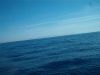 Filename=IM006477.JPG
Filesize=84KB
Dimensions=640x480
Date added=Nov 06, 2006 IM006477.JPG