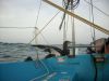 Filename=AUS_04_madar03.JPG
Filesize=602KB
Dimensions=1600x1200
Date added=Sep 10, 2008 AUS_04_madar03.JPG