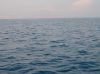 Filename=IM006378.JPG
Filesize=223KB
Dimensions=816x608
Date added=Oct 18, 2006 IM006378.JPG