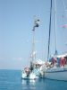 Filename=MA_60_hajok_egyutt.JPG
Filesize=670KB
Dimensions=1200x1600
Date added=Mar 15, 2009 MA_60_hajok_egyutt.JPG