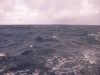 Filename=hullamos_tenger_01.JPG
Filesize=511KB
Dimensions=2048x1536
Date added=Jun 05, 2008 hullamos_tenger_01.JPG