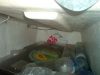Filename=IM006752.JPG
Filesize=66KB
Dimensions=640x480
Date added=Nov 24, 2006 IM006752.JPG