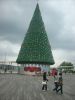 Filename=SIN34_karacsonyi_hangulat.JPG
Filesize=631KB
Dimensions=1200x1600
Date added=Dec 15, 2008 SIN34_karacsonyi_hangulat.JPG