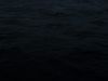 Filename=SL29_delfin04.JPG
Filesize=407KB
Dimensions=2560x1920
Date added=Jan 30, 2009 SL29_delfin04.JPG