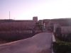 Filename=IM006714.JPG
Filesize=58KB
Dimensions=640x480
Date added=Nov 24, 2006 IM006714.JPG