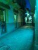 Filename=IM006723.JPG
Filesize=55KB
Dimensions=480x640
Date added=Nov 24, 2006 IM006723.JPG