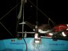 Filename=TS_10_madar08.JPG
Filesize=500KB
Dimensions=1600x1200
Date added=Sep 09, 2008 TS_10_madar08.JPG