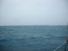 Filename=TS_18_Dove_Is.JPG
Filesize=654KB
Dimensions=1600x1200
Date added=Sep 09, 2008 TS_18_Dove_Is.JPG