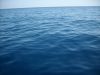 Filename=Y_06_nincs_szel.JPG
Filesize=680KB
Dimensions=1600x1200
Date added=Mar 27, 2009 Y_06_nincs_szel.JPG
