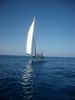 Filename=Y_10_Silver_Heel.JPG
Filesize=559KB
Dimensions=1200x1600
Date added=Mar 27, 2009 Y_10_Silver_Heel.JPG