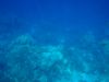 Filename=SZ_UW_129_fenek.JPG
Filesize=958KB
Dimensions=2560x1920
Date added=May 25, 2009 SZ_UW_129_fenek.JPG